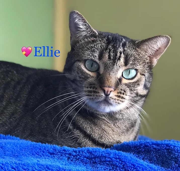 Photo of Ellie