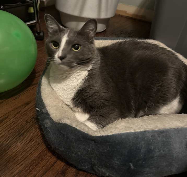 Photo of Hazel