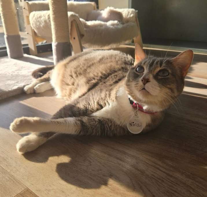 Photo of Nina