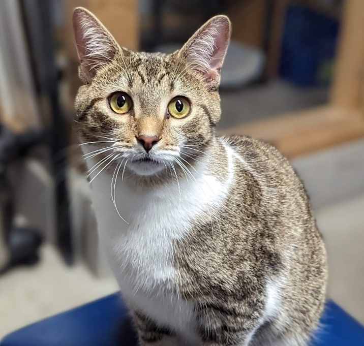 Photo of Felix
