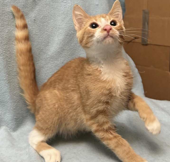 Photo of Alvin