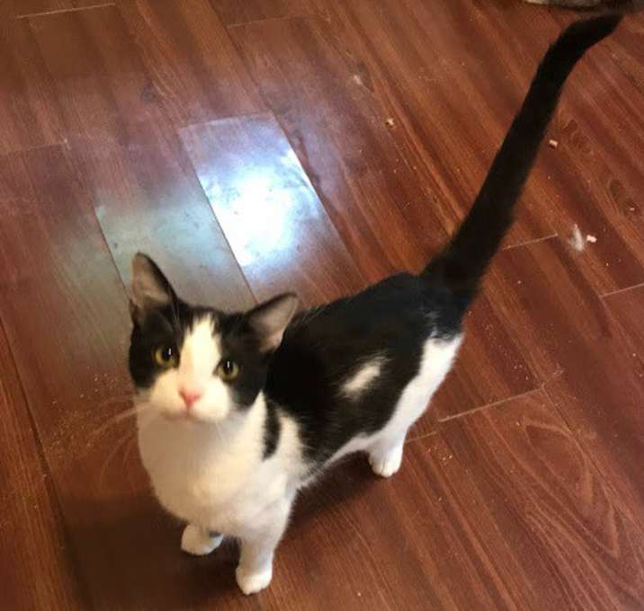 Photo of Dottie