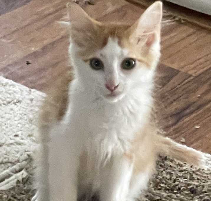 Photo of Ralphie
