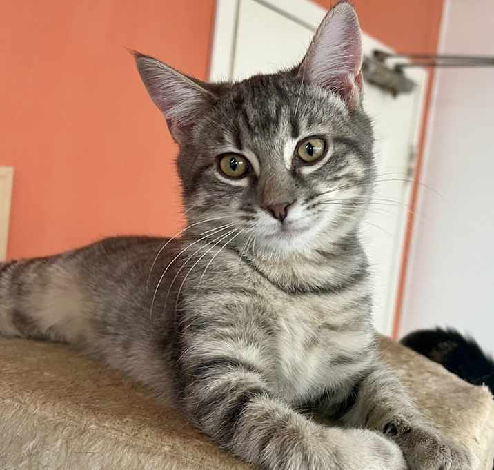 Photo of Elijah