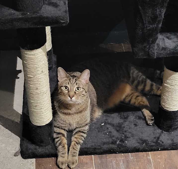 Photo of Finn