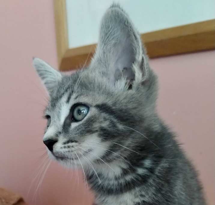 Photo of Zeus