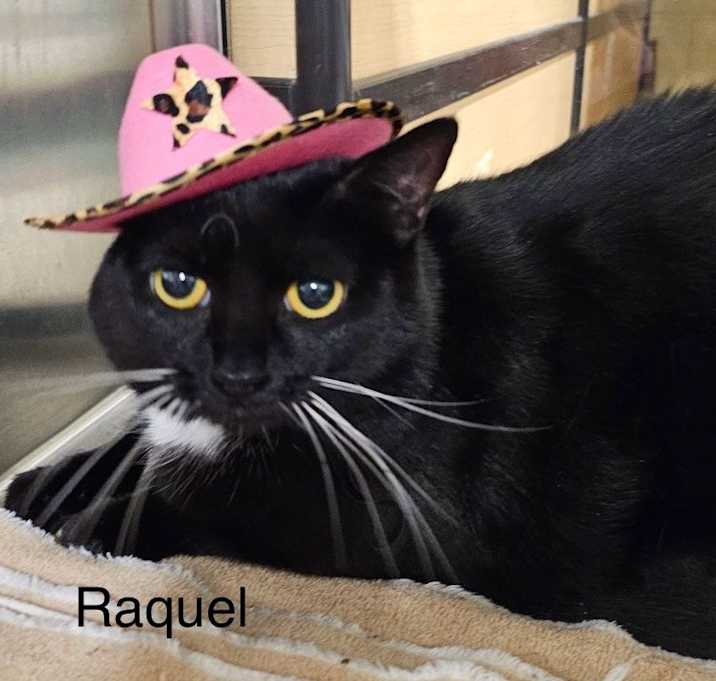 Photo of Raquel