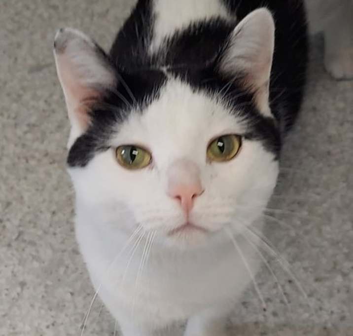 Photo of Baxter