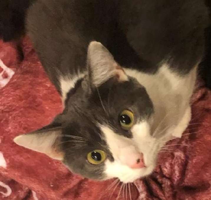 Photo of MORGAN