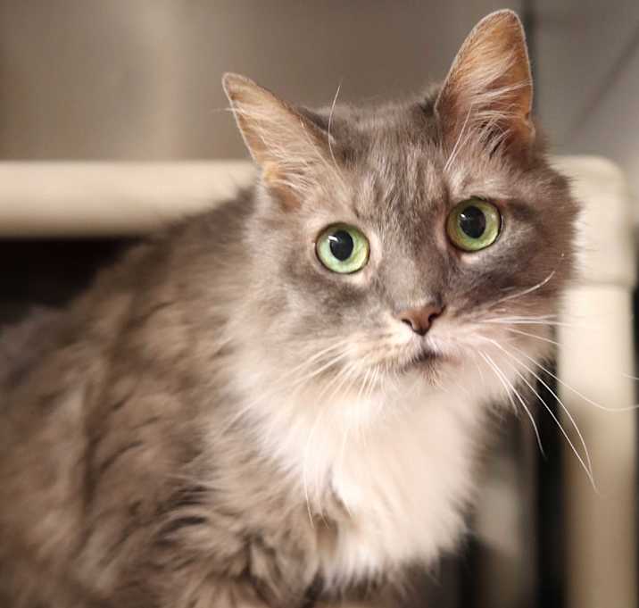 Photo of Druscilla