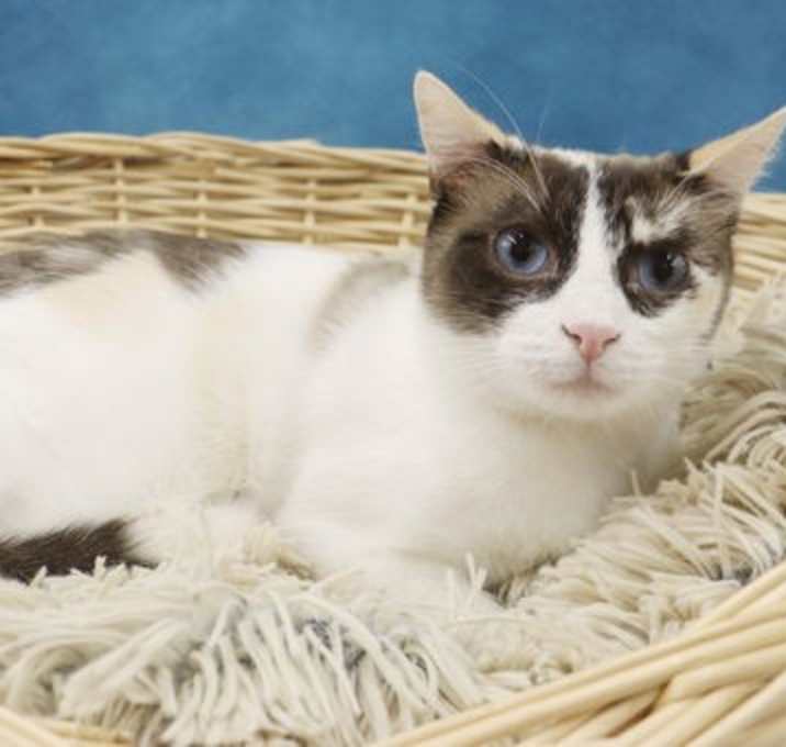 Photo of Samantha