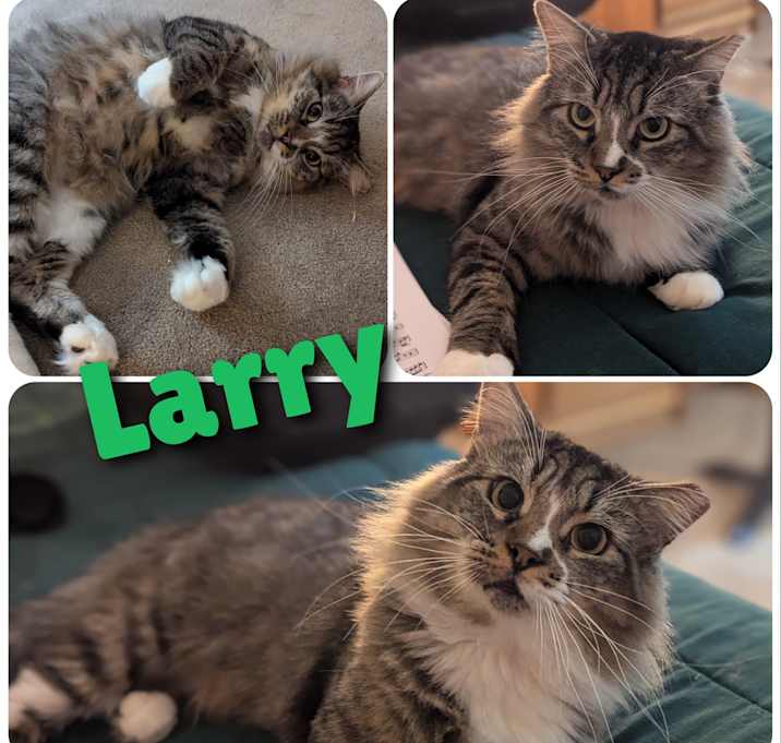 Photo of Larry