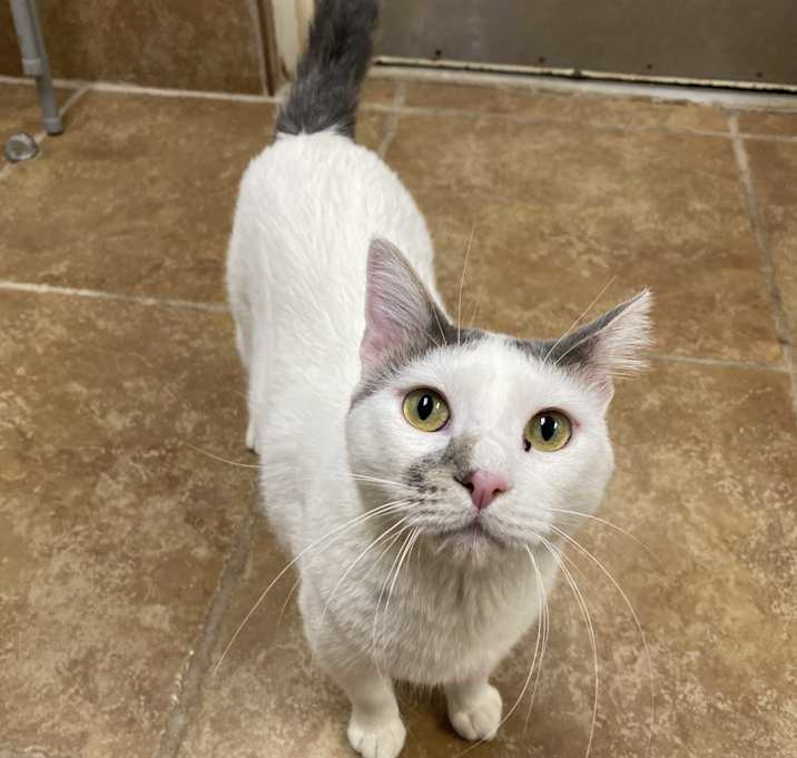 Photo of Ghost