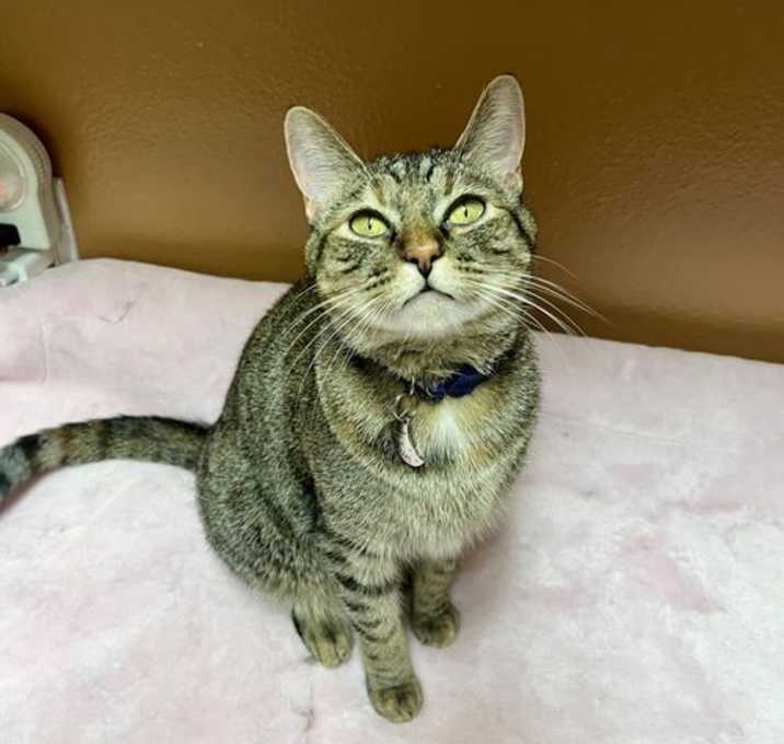 Photo of Hazel