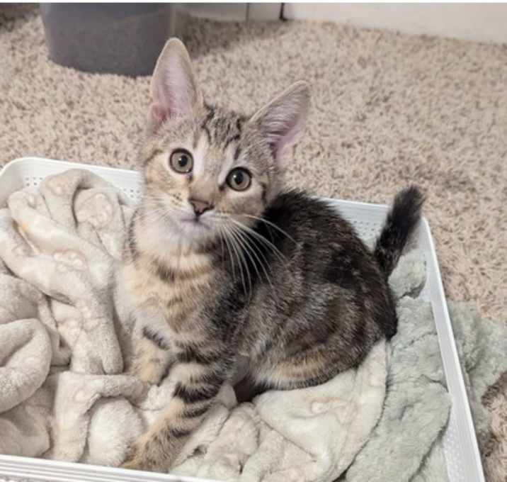Photo of Talia