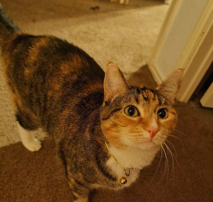 Photo of Bootsie