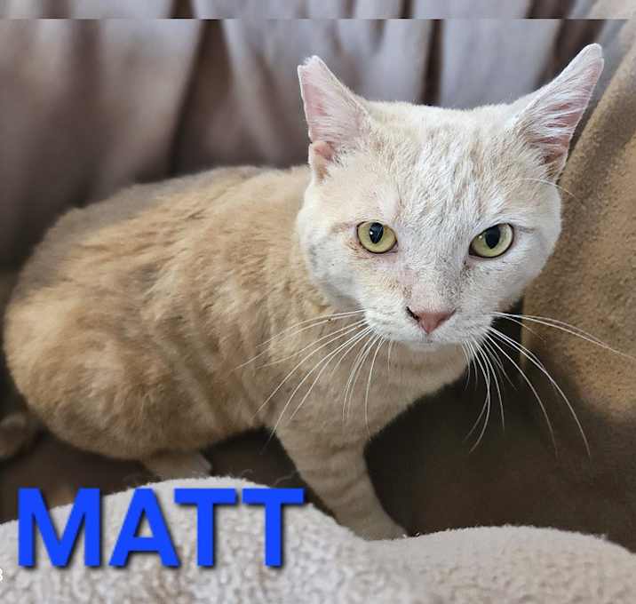Photo of MATT