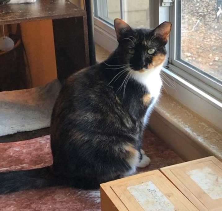 Photo of Mystique