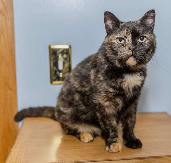 Photo of Betty