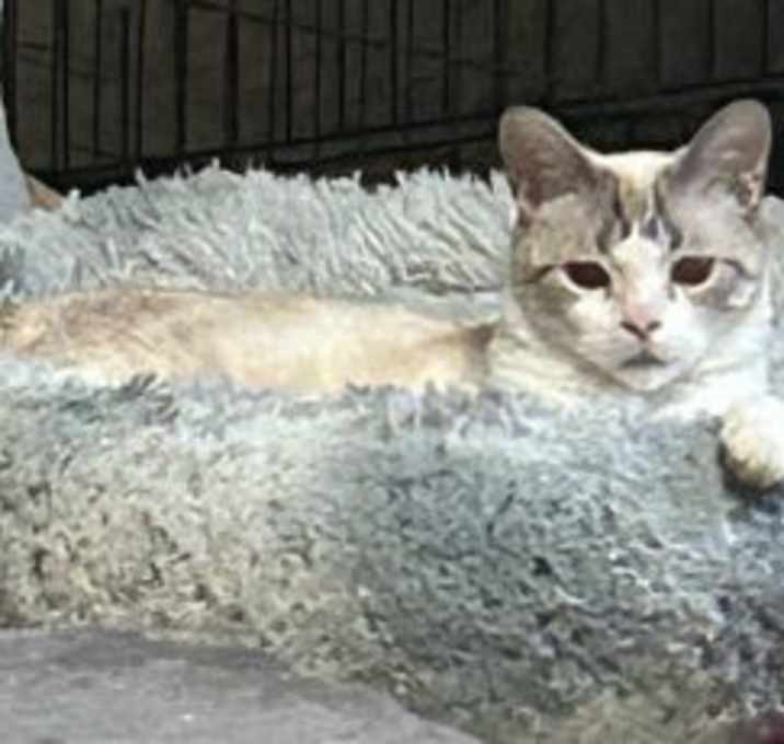 Photo of Miss Holly