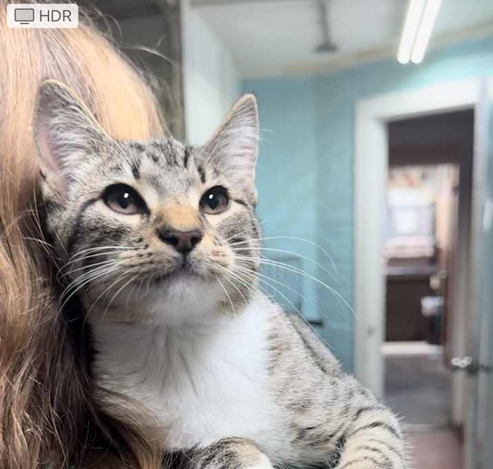 Photo of Oliver