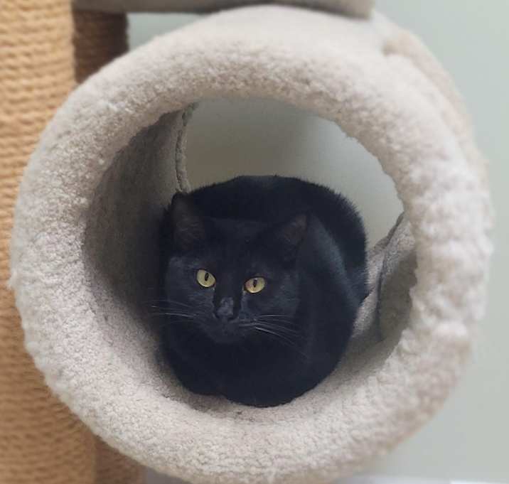 Photo of Double Mint