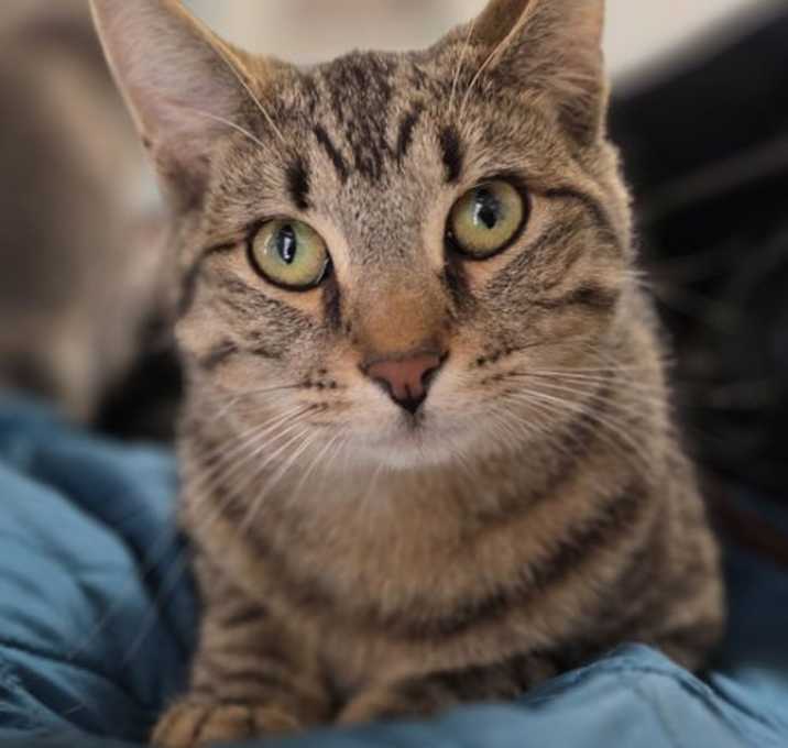 Photo of Steve