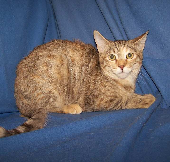 Photo of K-Helga-Helen