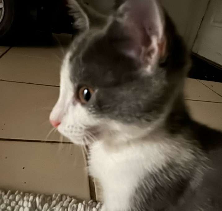 Photo of griselda