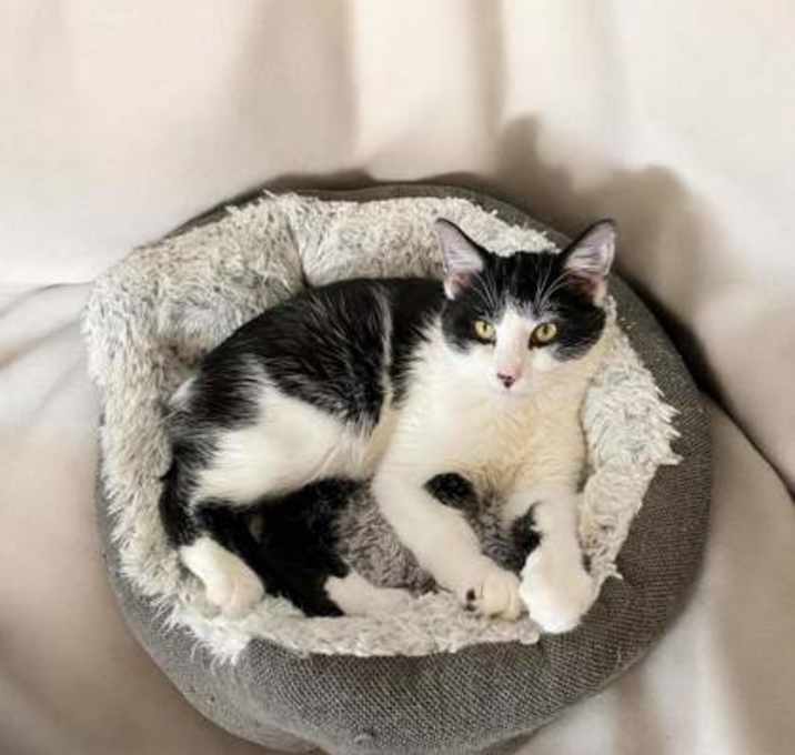 Photo of Willy