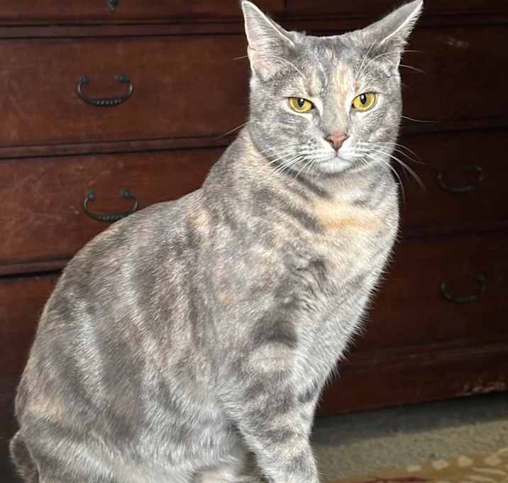 Photo of Penelope