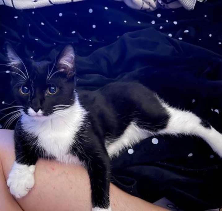 Photo of Steve