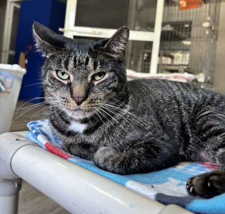 Photo of Ernie