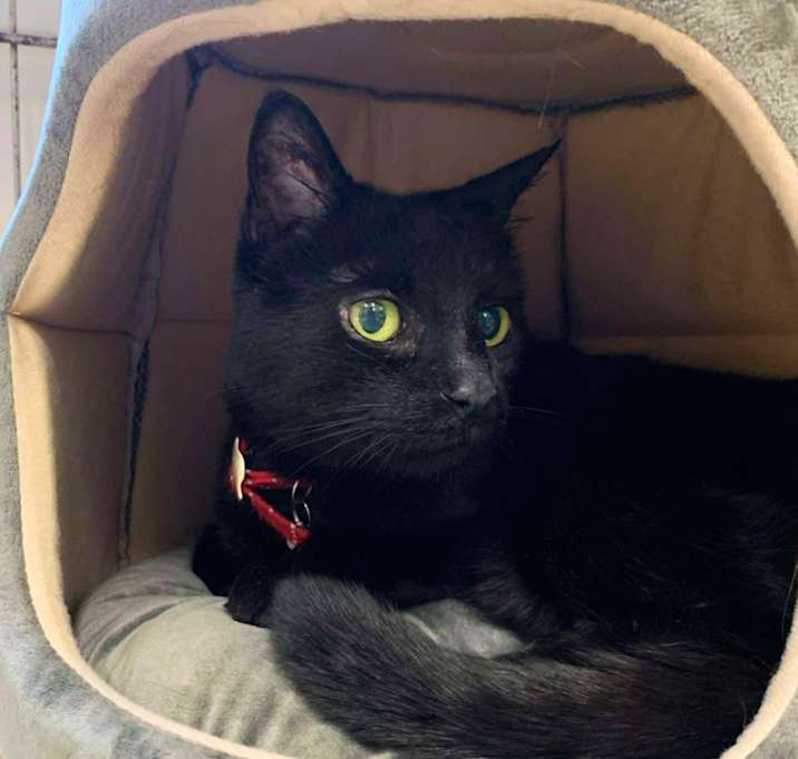 Photo of Millie