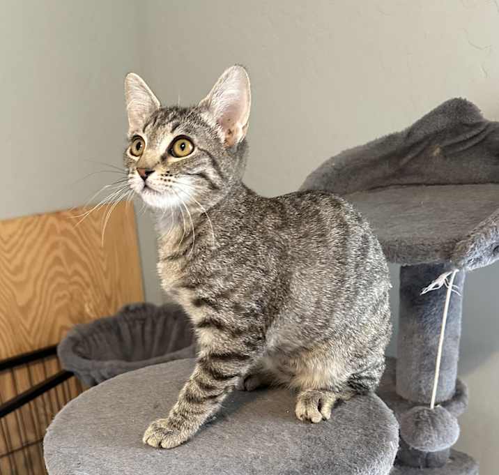 Photo of Harley-(foster-Bruce)