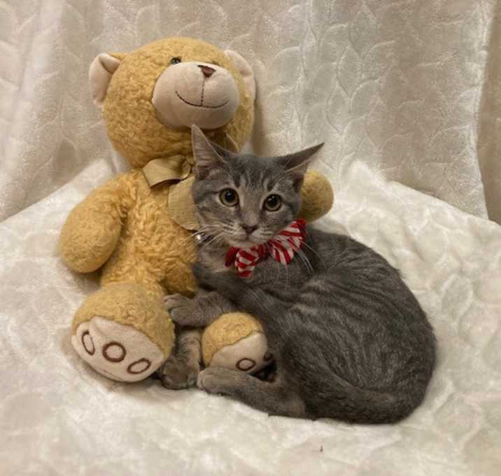Photo of Myrtle