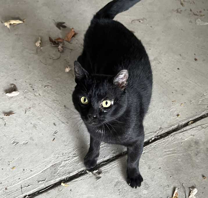Photo of Teddy
