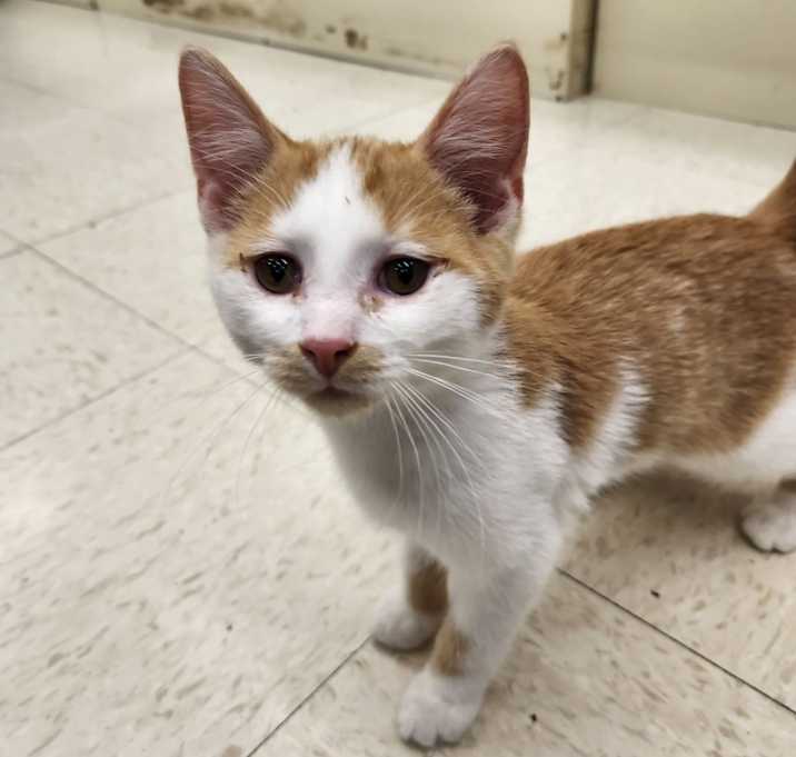 Photo of Milton