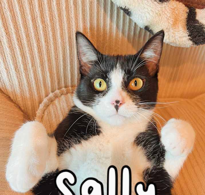Photo of Sally