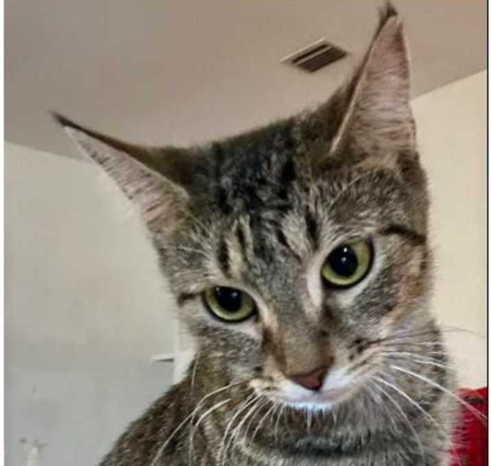 Photo of Jenny