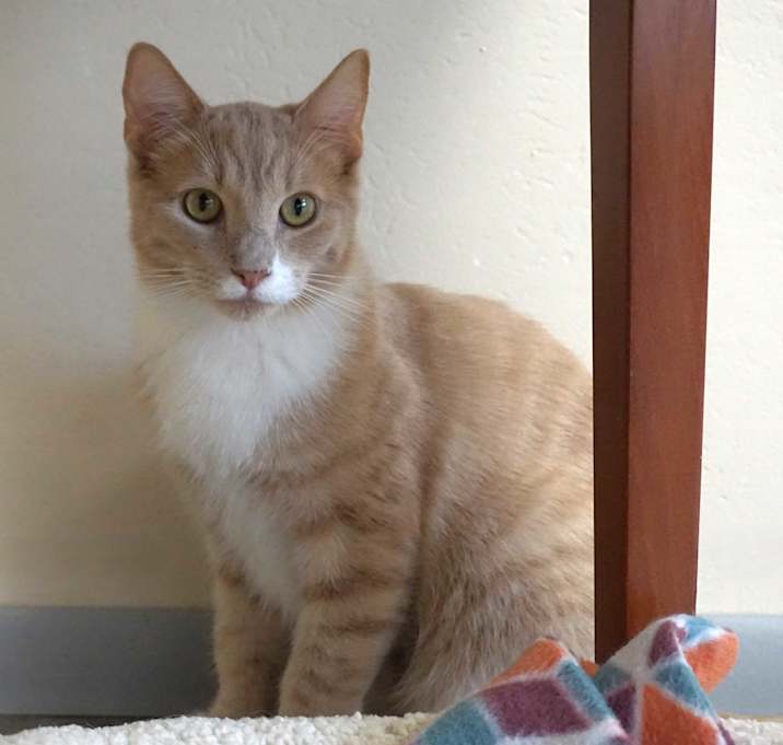 Photo of Archee