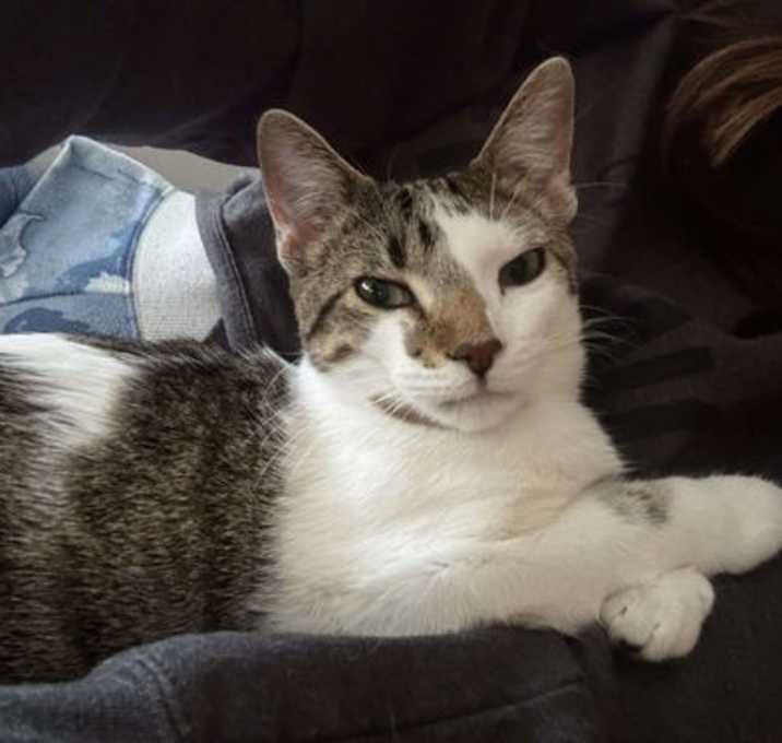 Photo of Riggs