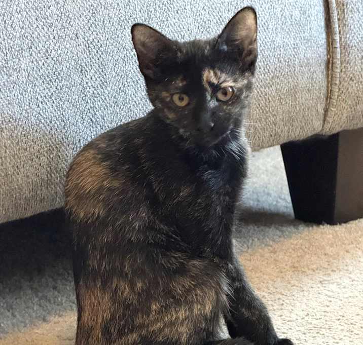 Photo of Charlotte