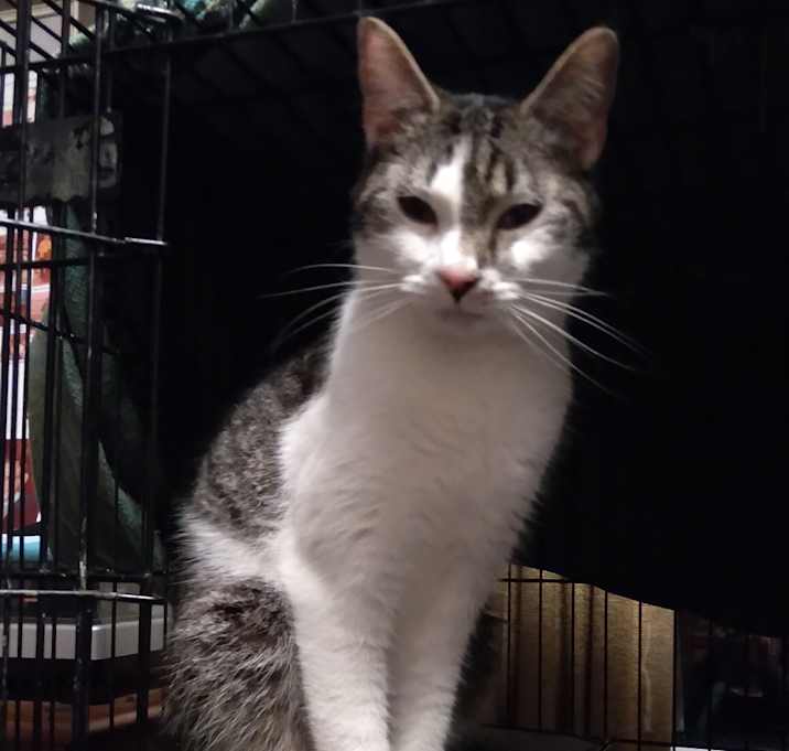 Photo of Jackson