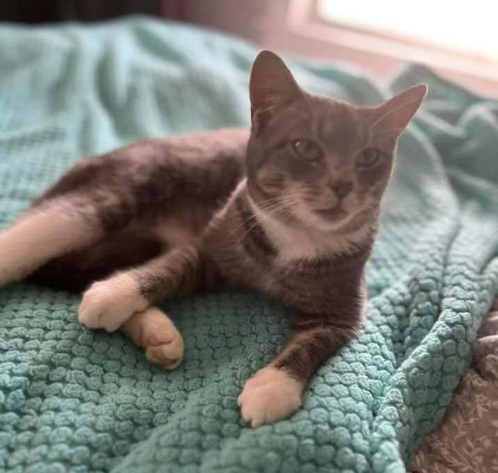 Photo of Oscar