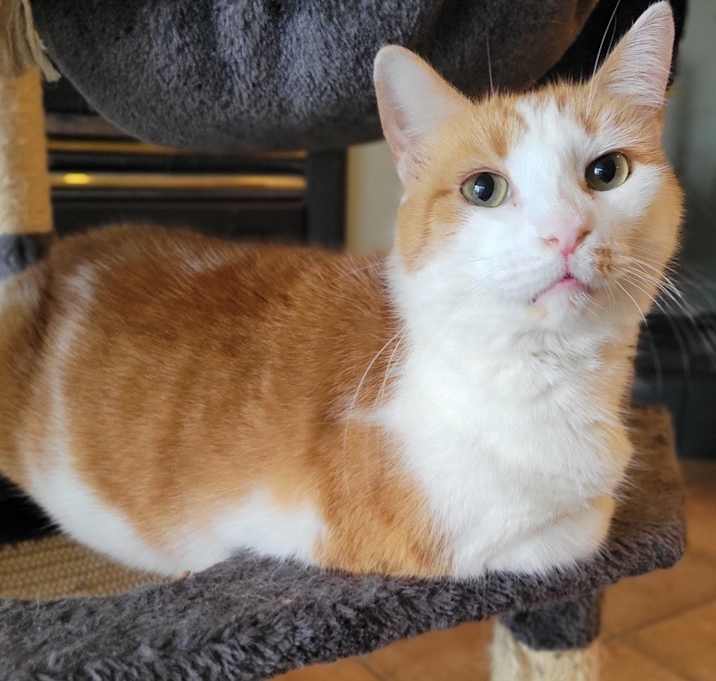 Photo of Stanley
