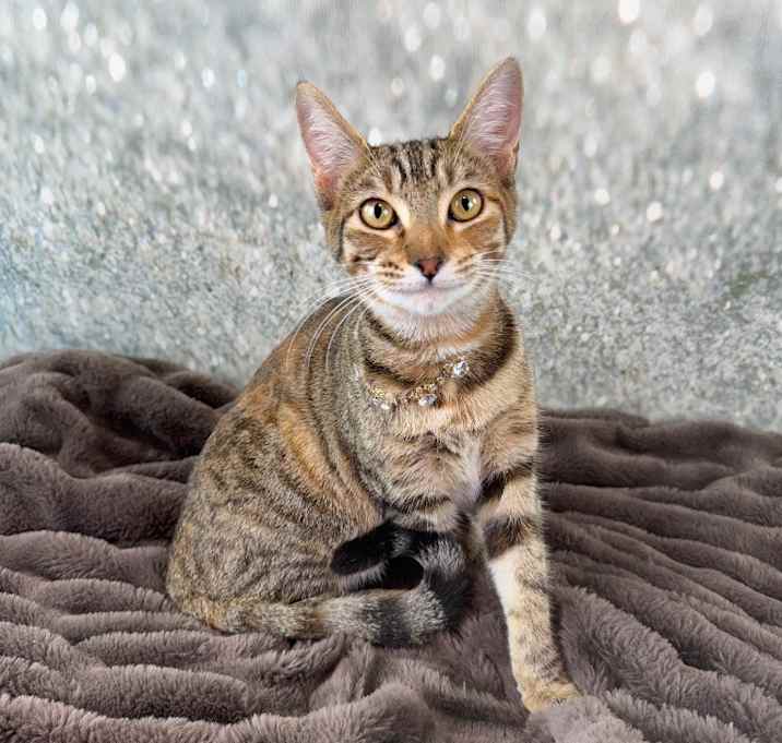 Photo of Feisty