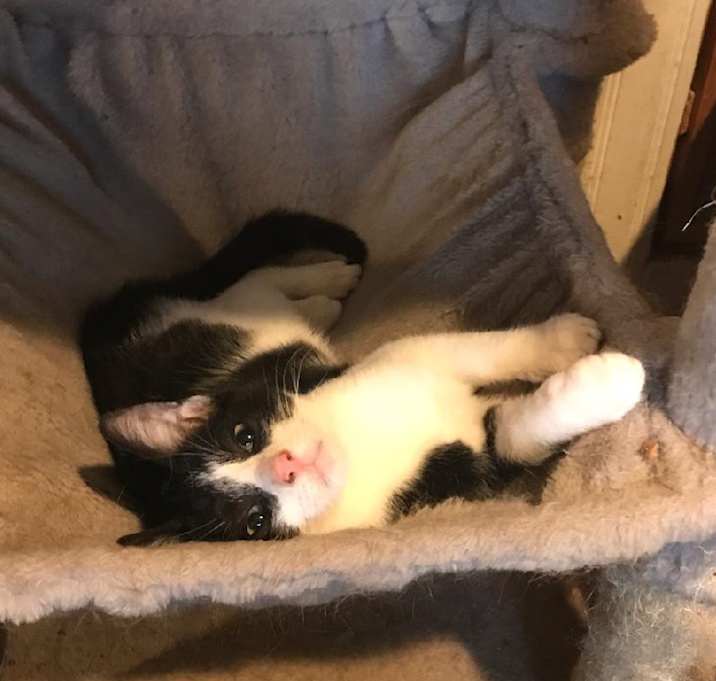 Photo of Scooter