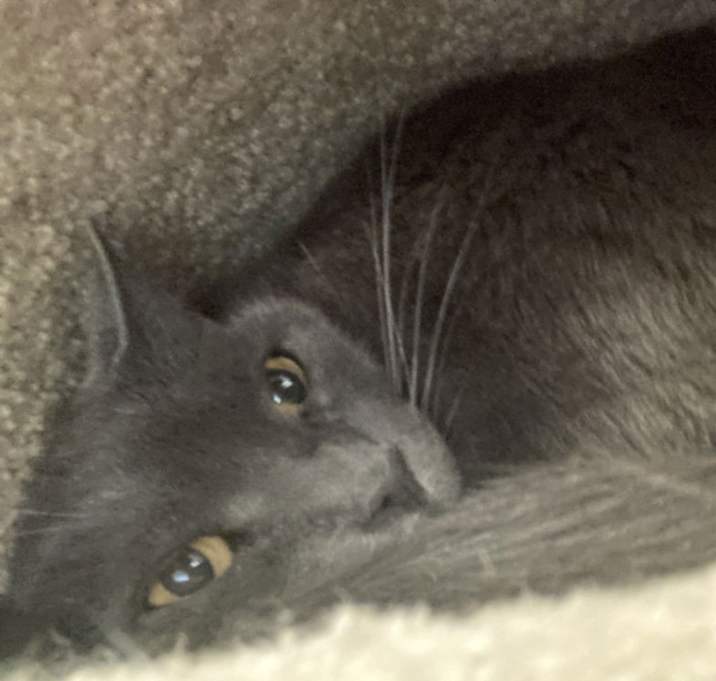 Photo of Anastasia