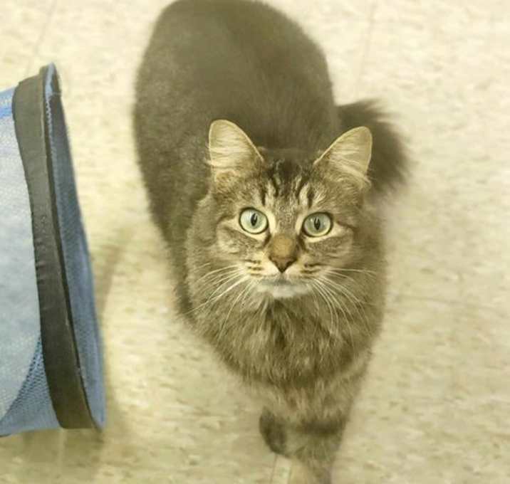Photo of Nala